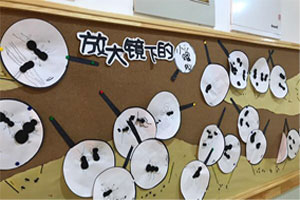 幼儿园科学区探秘蚂蚁图片4张