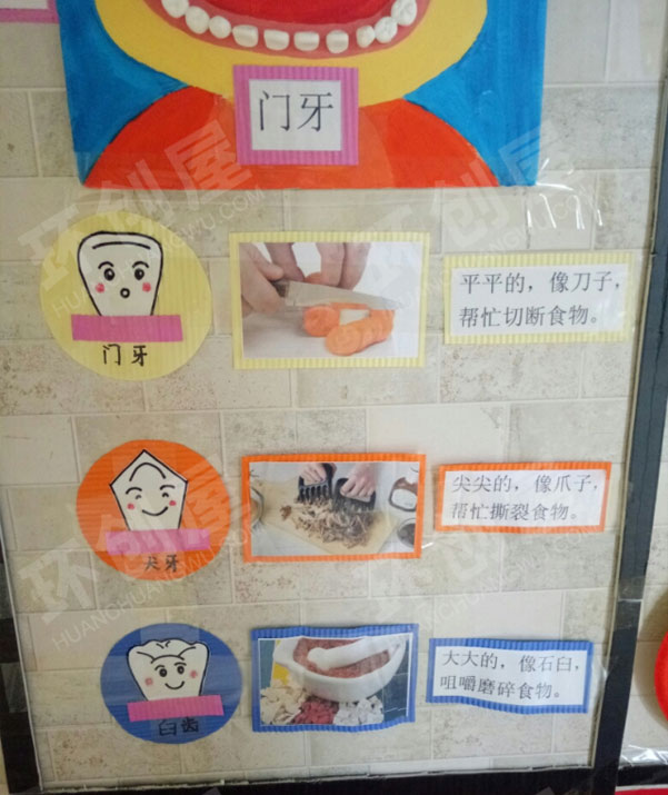 幼儿园牙齿主题墙图片