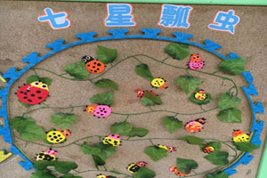 幼儿园虫虫虫虫飞主题墙图片6张
