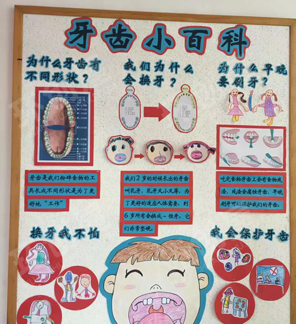 幼儿园牙齿小百科主题墙图片