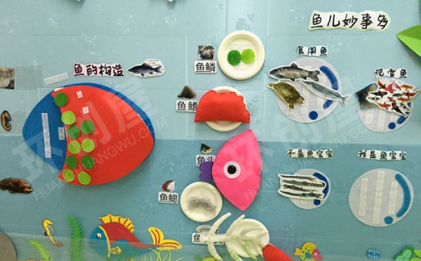 幼儿园科学区鱼的结构图片