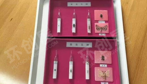 幼儿园科学区科学小游戏图片