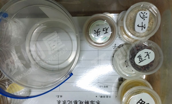 幼儿园科学区科学实验站图片