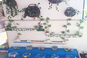 幼儿园复古风走廊图片3张