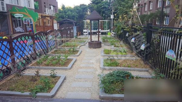 幼儿园户外种植园环境创设图片