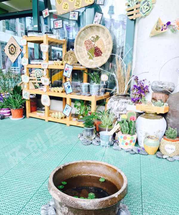 幼儿园户外好看植物角图片