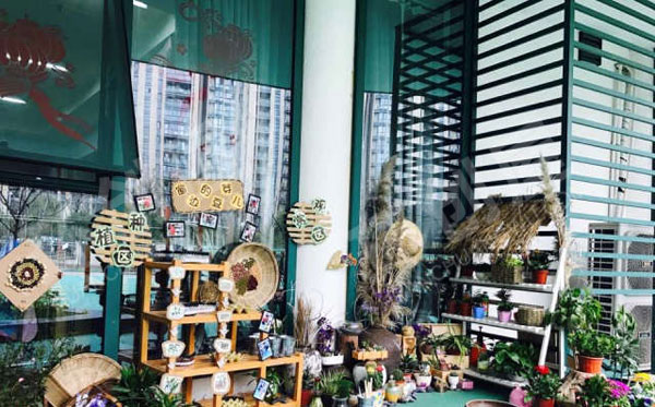 幼儿园户外好看植物角图片