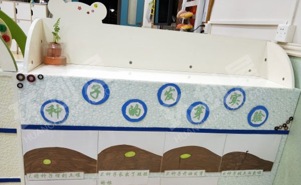 幼儿园科学区种子的发芽实验图片