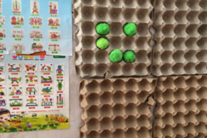 幼儿园益智区鸡蛋托墙面制作玩具图片2张