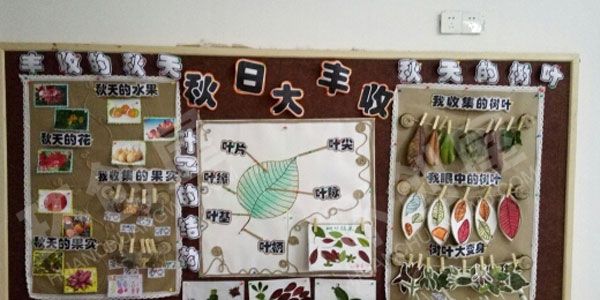 幼儿园主题墙丰收的冬秋天图片
