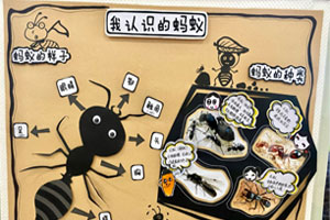 幼儿园蚂蚁环创主题墙图片4张