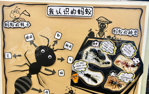 幼儿园蚂蚁环创主题墙图片