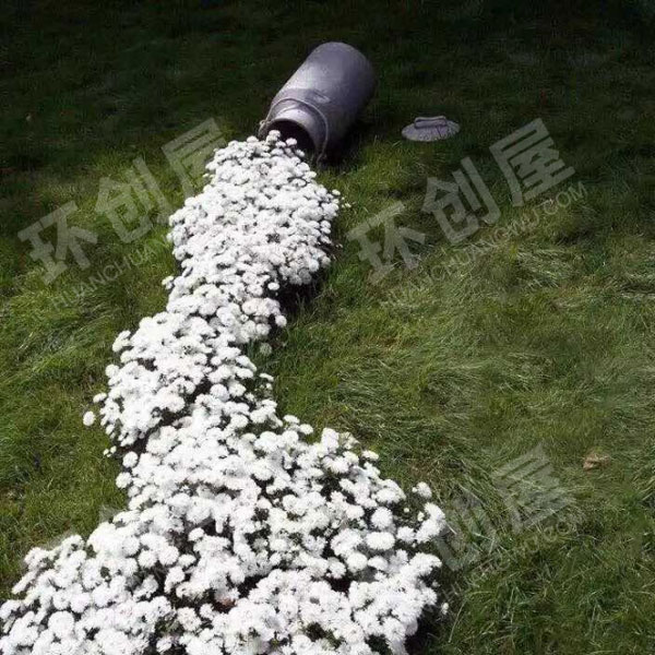 幼儿园户外植物角花儿创意图片