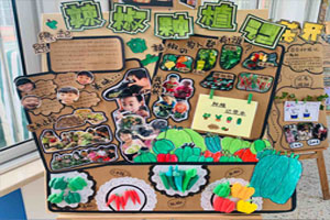 幼儿园科学区蔬菜成长展板图片8张