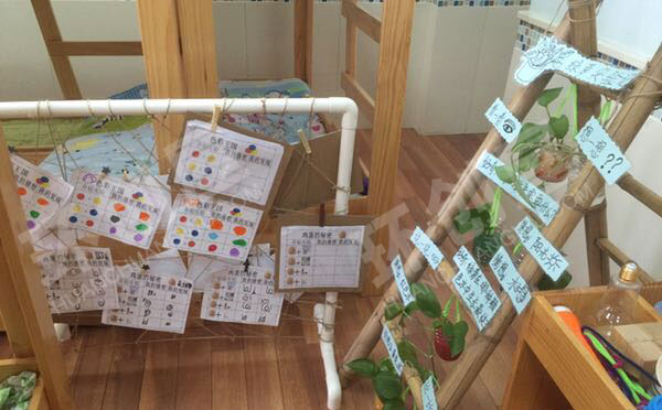 幼儿园科学区环创奇趣科探图片