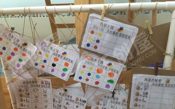 幼儿园科学区环创奇趣科探图片