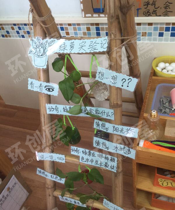 幼儿园科学区环创奇趣科探图片