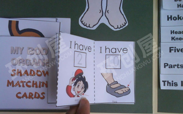 幼儿园益智区我的身体创意图片