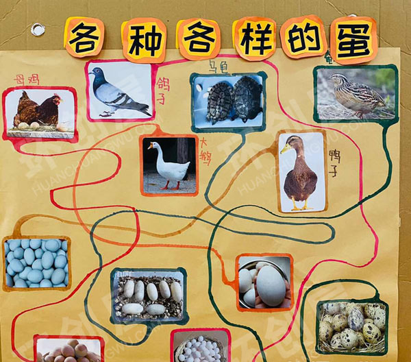 幼儿园墙面布置动物小鸡主题图片