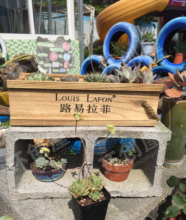 幼儿园户外植物角轮胎创意环创图片