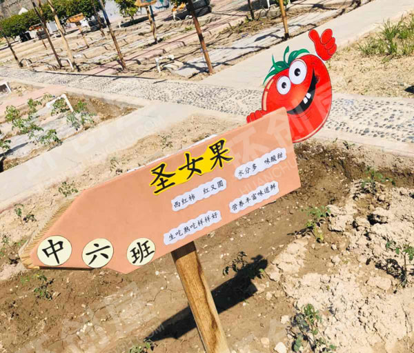 幼儿园户外菜园班牌环创图片