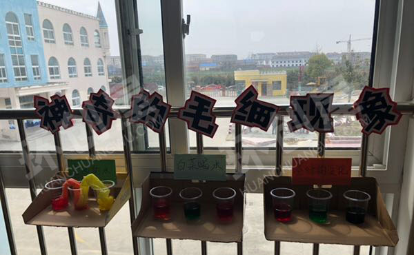 幼儿园科学区奇妙的科学现象图片