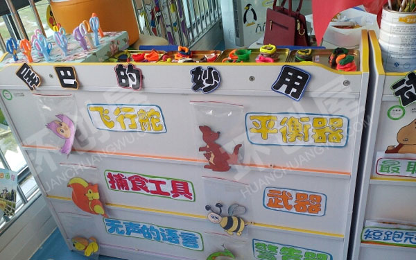 幼儿园科学区尾巴的妙用图片