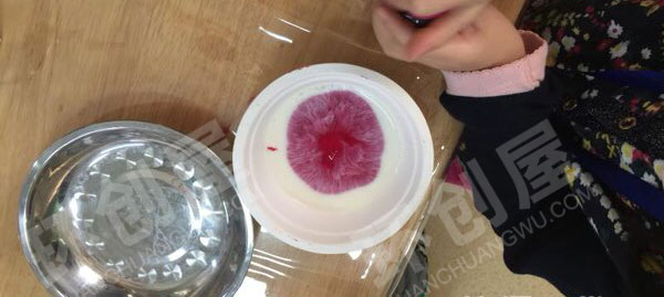 幼儿园科学区牛奶烟花图片