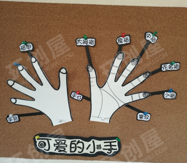幼儿园走廊知识环创我的小手图片