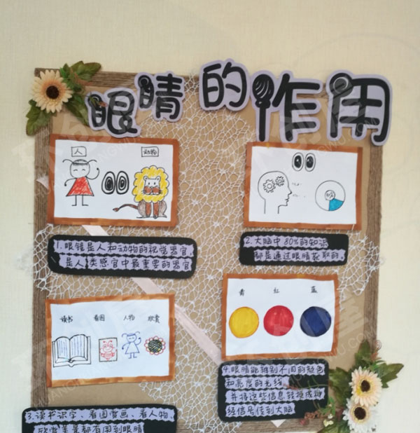 幼儿园走廊知识环创眼睛的作用图片