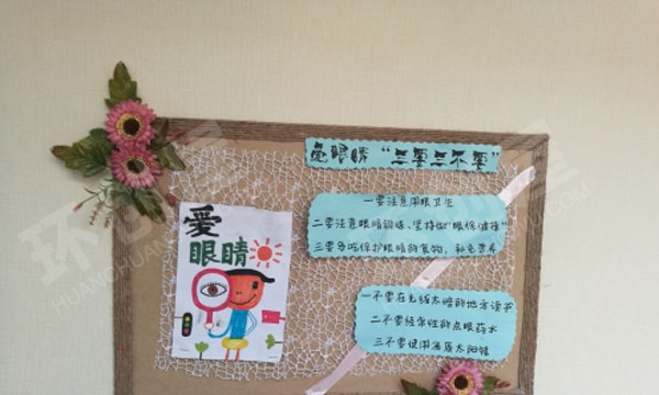 幼儿园走廊知识环创眼睛的作用图片