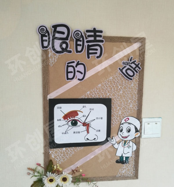 幼儿园走廊知识环创眼睛的作用图片