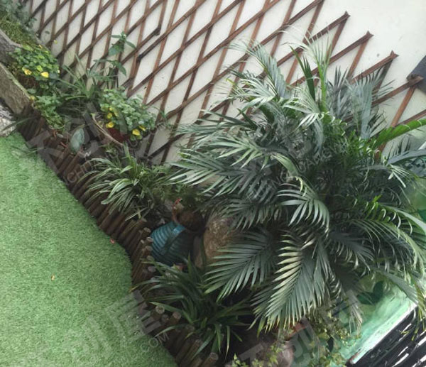 幼儿园户外植物角洗手台图片