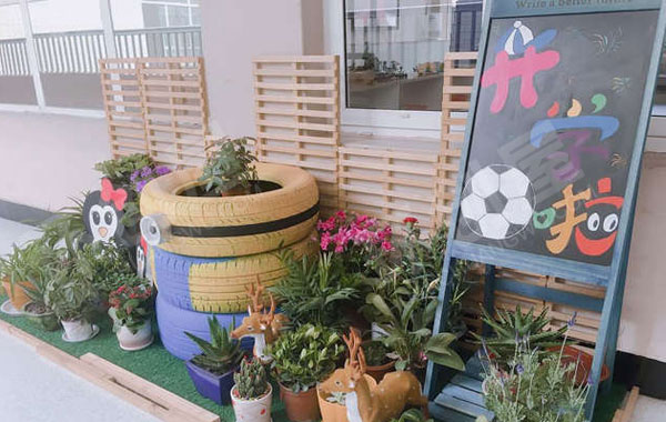 幼儿园户外超级美丽的植物角图片