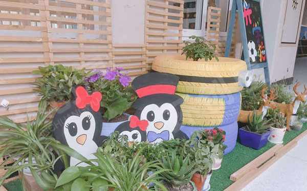 幼儿园户外超级美丽的植物角图片