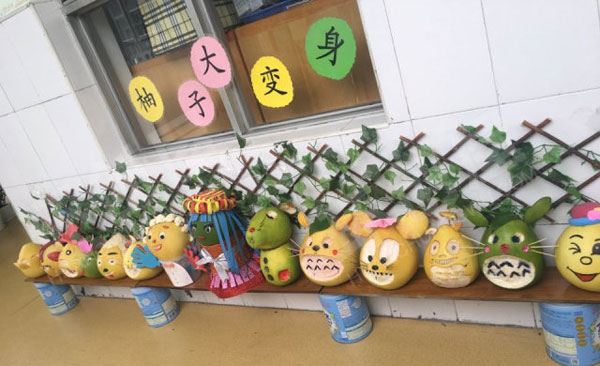 幼儿园走廊植物角小角落大自然图片