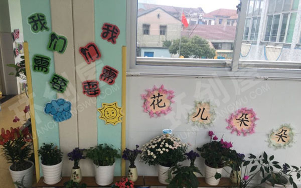 幼儿园走廊植物角小角落大自然图片