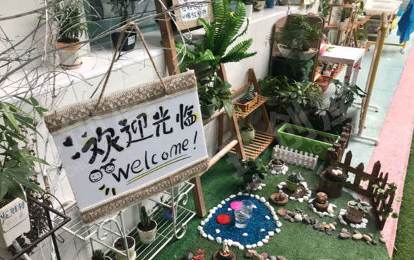 幼儿园户外超自然的自然角图片