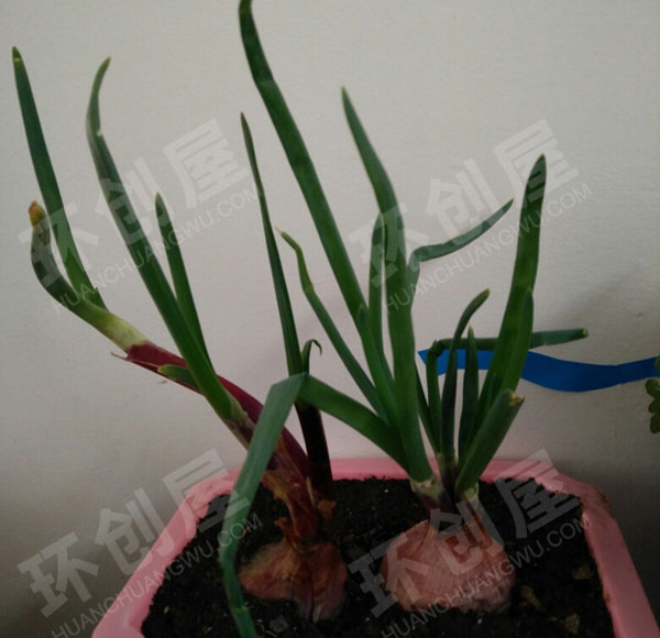 幼儿园户外一角废物利用图片
