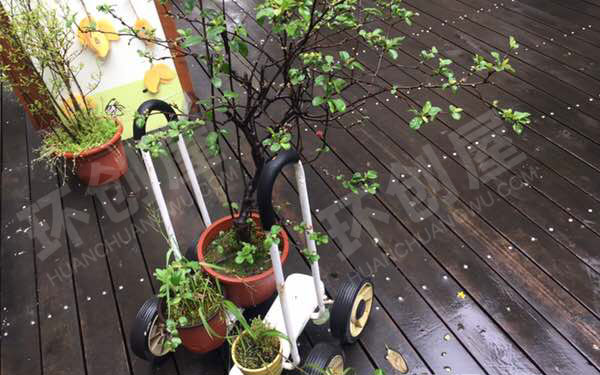 幼儿园超有趣户外自然角图片