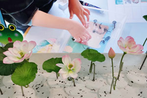 幼儿园科学区小蝌蚪找妈妈图片5张