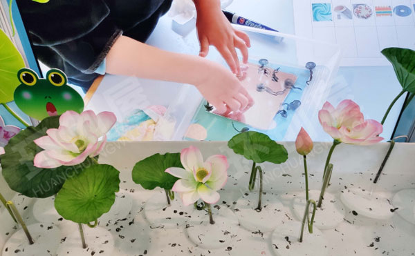 幼儿园科学区小蝌蚪找妈妈图片