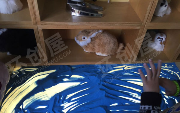 幼儿园科学室各种科学玩教具图片