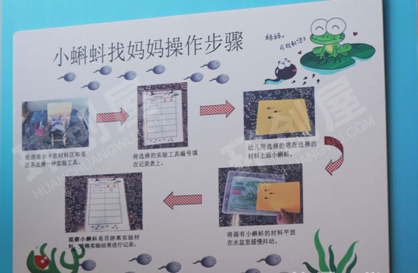 幼儿园科学区小蝌蚪找妈妈图片