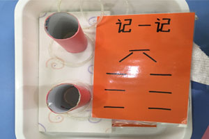 幼儿园科学区环创5的分解教具图片2张