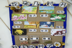 幼儿园金色的秋天主题墙图片5张