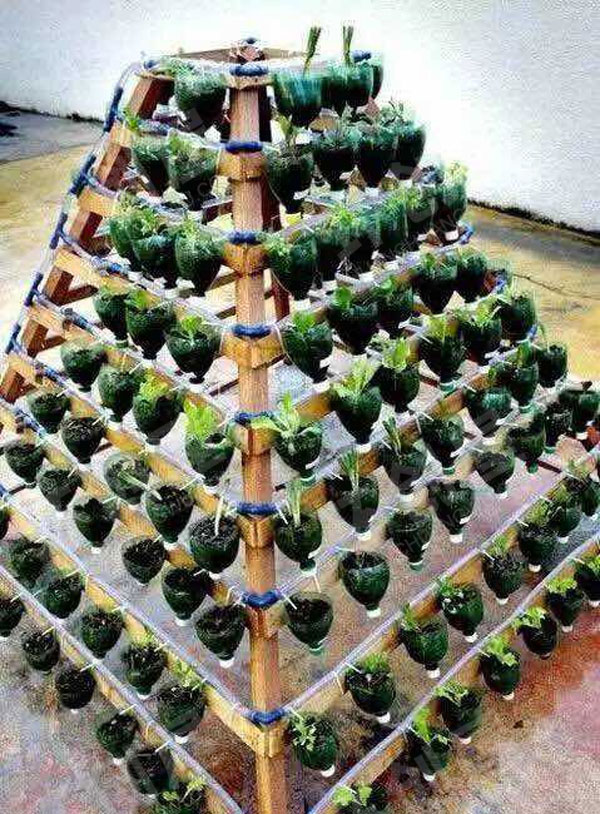 幼儿园户外植物角废物利用瓶子手工图片