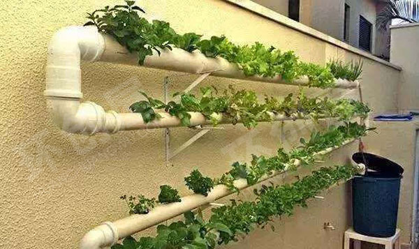 幼儿园户外植物角废物利用瓶子手工图片