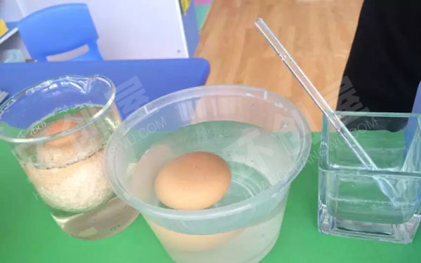 幼儿园科学区鸡蛋入水观察记录图片
