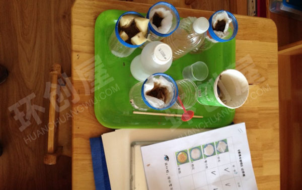 幼儿园有趣的水个别化学习活动图片